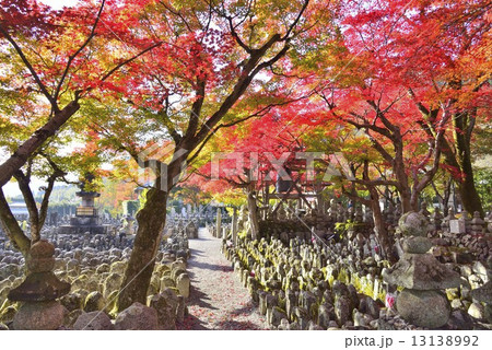 京都の秋 13138992