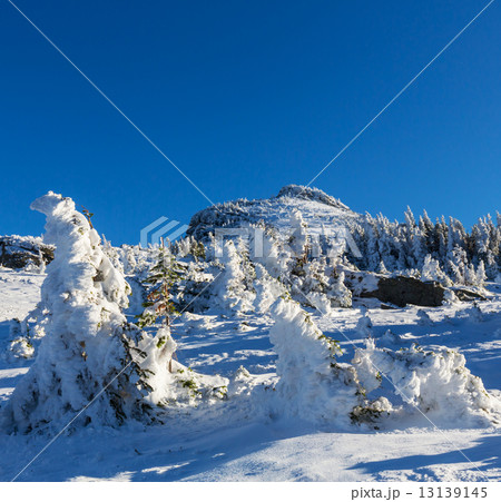 Winter in mountains Winter in mountains 13139145