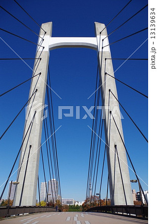 木場公園大橋 木場公園大橋 13139634