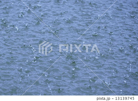 激しい雨が降る池の水面の写真素材 [13139745] - PIXTA