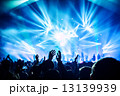 Rock concert 13139939