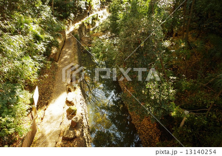 等々力渓谷 13140254