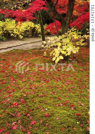 秋景色　京都　勧修寺 13141701