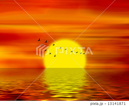 birds of passage 13141871