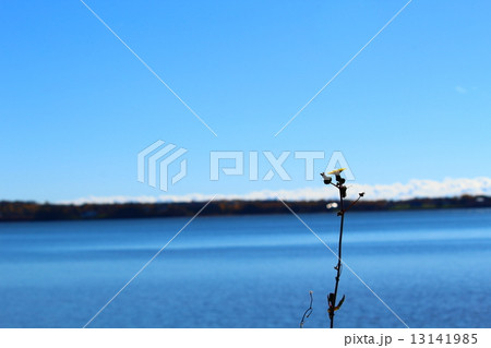Canada PEI Canada PEI 13141985