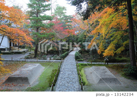 京都 秋の法然院 京都 秋の法然院 13142234