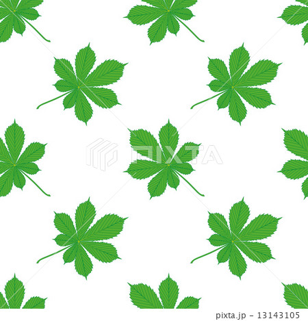 Horse Chestnut Leaves Seamless Texture 13143105