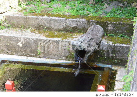 守礼門・瑞泉門近くの「龍樋」(首里城/沖縄県那覇市首里) 守礼門・瑞泉門近くの「龍樋」(首里城/沖縄県那覇市首里) 13143257