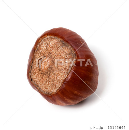 Brown hazelnut 13143645
