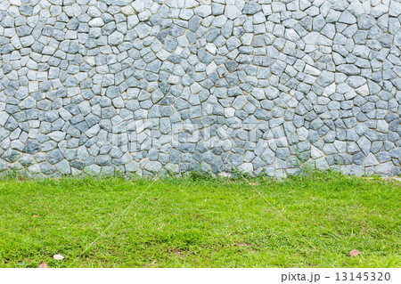 Grass with stone background 13145320