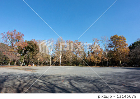 林試の森公園 13145678