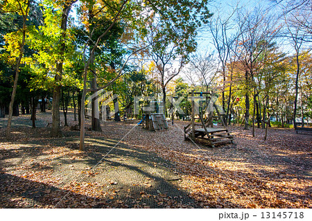 東京都品川区、林試の森公園 13145718
