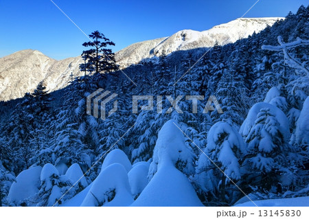 八ヶ岳連峰・地蔵尾根の登りから見る硫黄岳の稜線 13145830