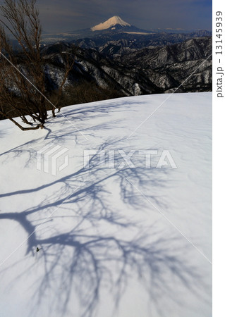 丹沢・塔ノ岳山頂の雪原に映る樹影と富士山 13145939