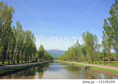 前田森林公園 13146166