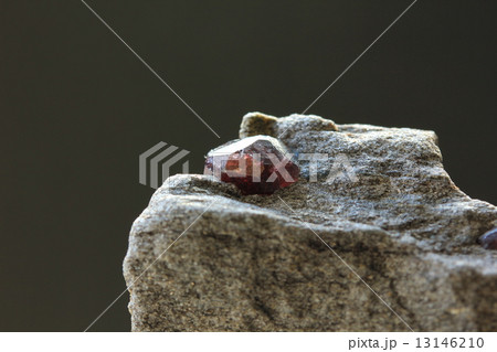 ガーネット ガーネット 13146210