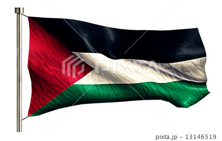 Palestine National Flag Isolated 3D White Background 13146519
