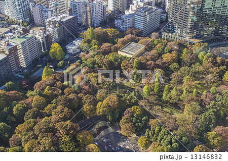新宿中央公園 13146832