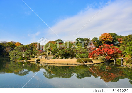 六義園の紅葉 13147020