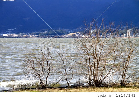 琵琶湖のしぶき氷 琵琶湖のしぶき氷 13147141