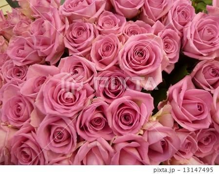 バラの花束 13147495