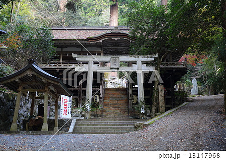 京都　由岐神社 13147968