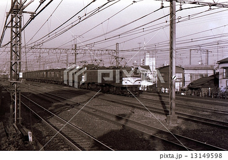 EF58重連牽引荷物列車　昭和53年　横浜 13149598