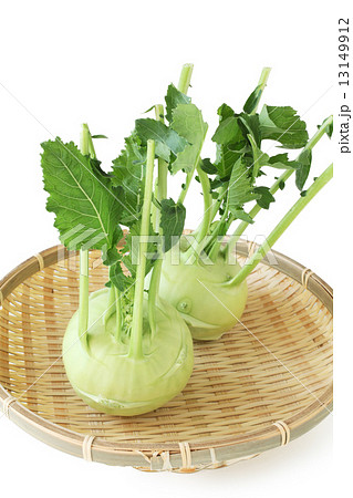 コールラビ コールラビ 13149912