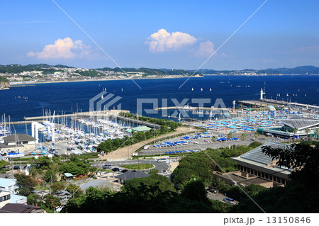 江の島ヨットハーバー 江の島ヨットハーバー 13150846