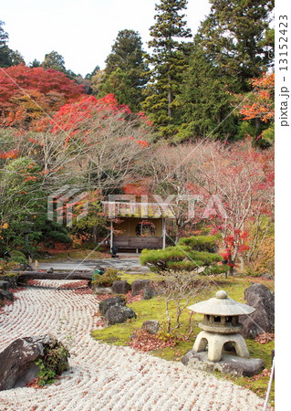 円通院の庭園 円通院の庭園 13152423