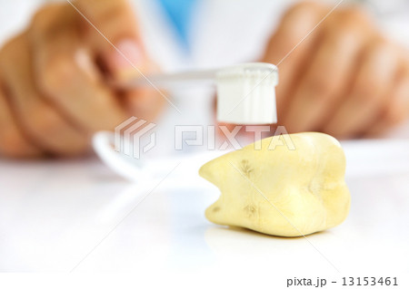dental hygiene concept  13153461