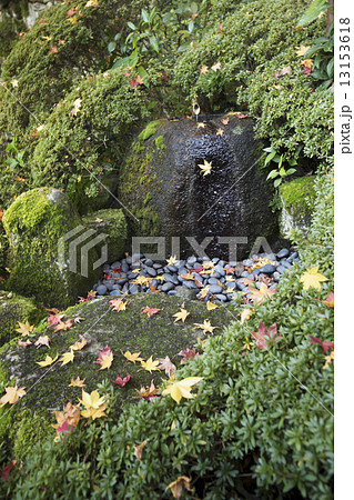 秋景色　奈良　當麻寺 13153618
