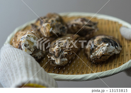 牡蠣 牡蠣 13153815