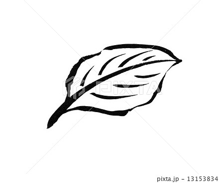 墨絵 墨絵 13153834