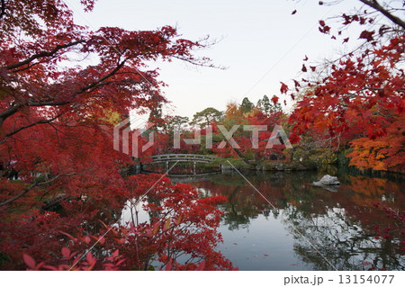 紅葉の永観堂と弁天橋 13154077