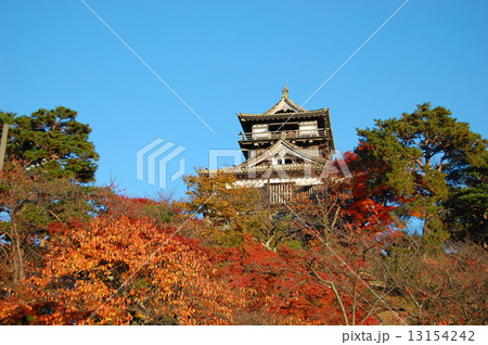 丸岡城　100名城 13154242