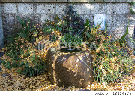 目黒不動尊 13154375