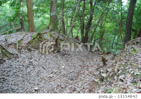 吉田郡山城　100名城 13154642