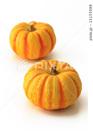 プッチーニ 13155098