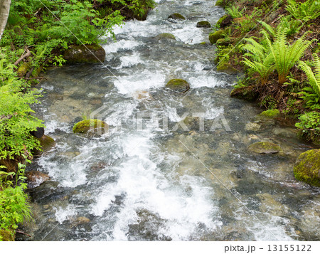 新緑の渓流 13155122