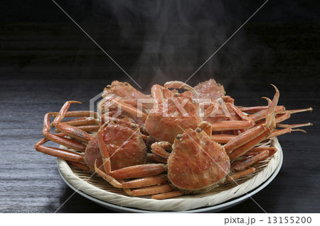 セコガニ セコガニ 13155200