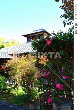 秋の丈山苑 13155230