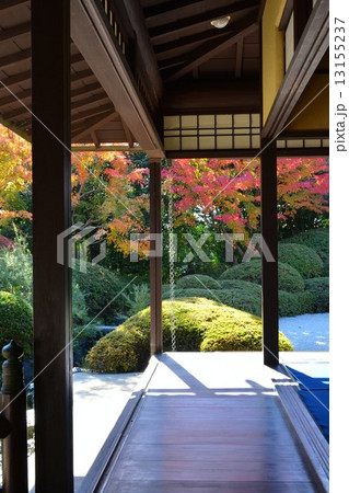 秋の丈山苑　詩泉閣 13155237