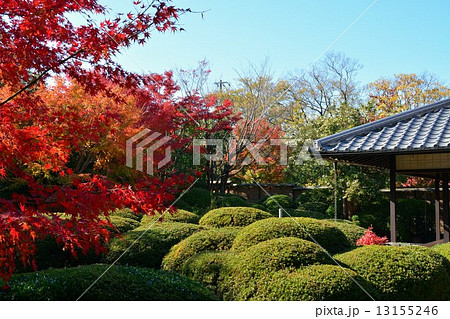 秋の丈山苑　詩泉閣 13155246