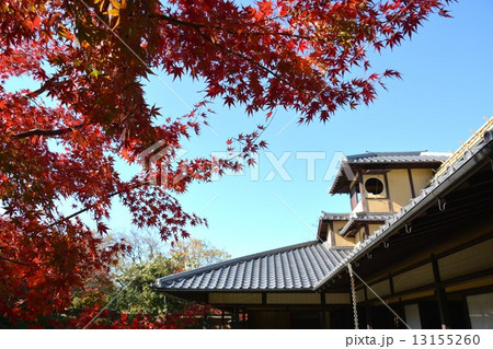 秋の丈山苑　嘯月楼 13155260