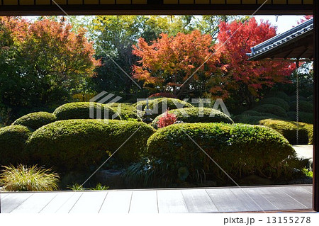 秋の丈山苑　詩泉閣 13155278