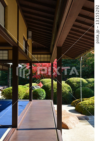 秋の丈山苑　詩泉閣 13155292