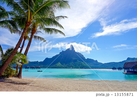 ボラボラ 13155871