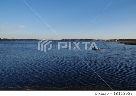 印旛沼(千葉県) 印旛沼(千葉県) 13155955