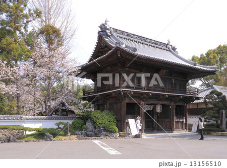 四国霊場第1番札所「霊山寺」桜と山門 四国霊場第1番札所「霊山寺」桜と山門 13156510